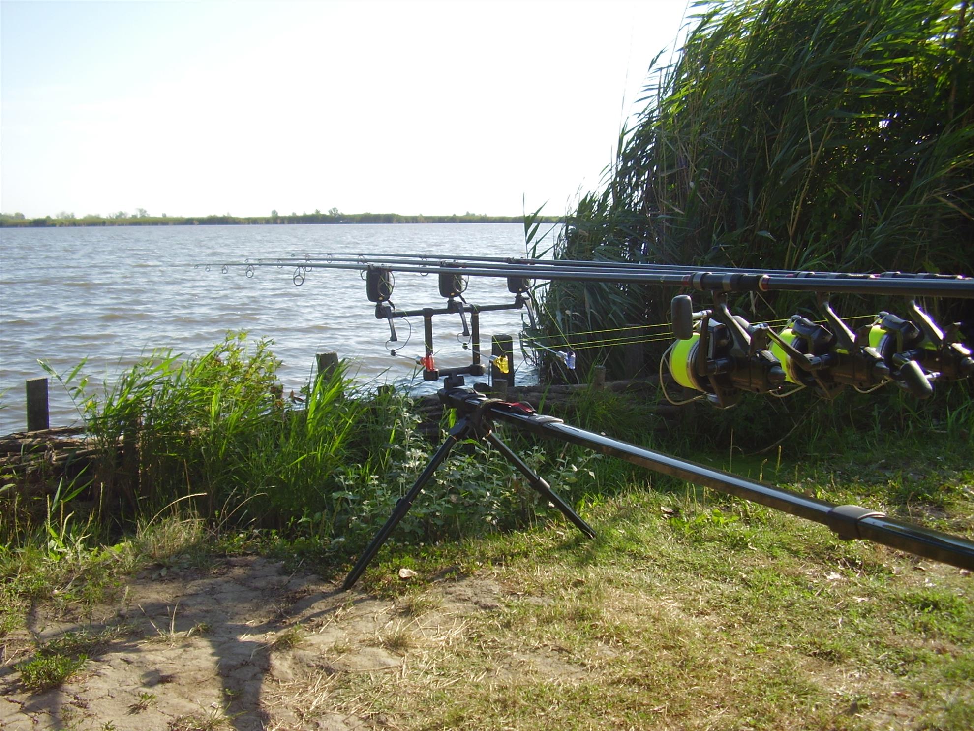 Alejandro Carp Team - Ohat Ungaria 2013 - p5070021.JPG